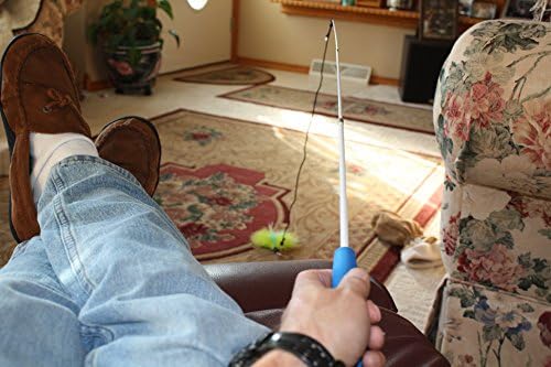 Pet Fit For Life - Retractable Feather Wand for Cats - Durable Interactive Cat Toy, Teaser Fishing Pole with Feather Lures - Fun Kitten Play Wand, 2 Feathers with String Attachment
