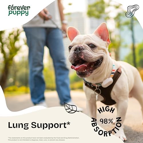 Forever Puppy Lung Support Drops for Dogs - Mullein & OSHA Blend - 2 fl oz