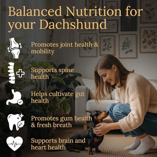 Multivitamins, Balanced Nutrition for Dachshund, 90 Count, Made in the USA with Real Bacon