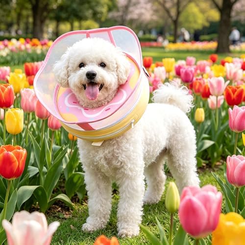 EMUST Inflatable Dog Cone Collar for Dogs to Stop Licking After Surgery