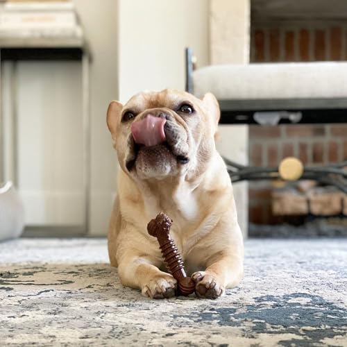 Nylabone Power Chew Dental Groove Bone Dog Chew Toy, Flavor Medley, Small