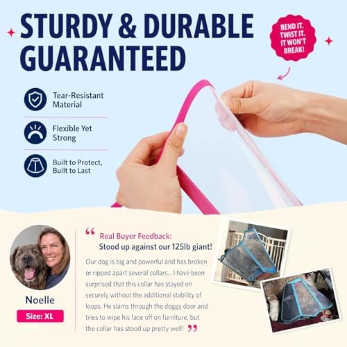 Hard Plastic Dog Surgery Recovery Cone Collar with Soft Neck Pad, Rosered M