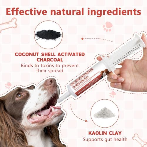 Activated Charcoal for Dogs Cats, 2 Tubes, 60 ml Each