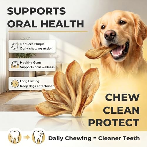 100% Natural Pet Treats 24 Pack Grass Fed Water Buffalo Ears for Dogs | High Protein Beef Cow Ears for Dogs Safe Rawhide Dog Treat Suitable for Small, Medium & Large Breeds Dogs Chews