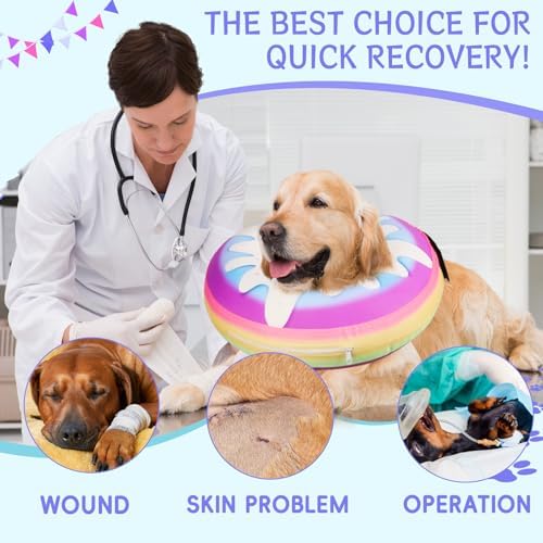 Inflatable Dog Cone Collar Alternative After Surgery, Donut Soft Neck Cone for Husky Border Collie Large Dogs, etc, Protective Comfortable E Collar Recovery Cone Not Block Vision