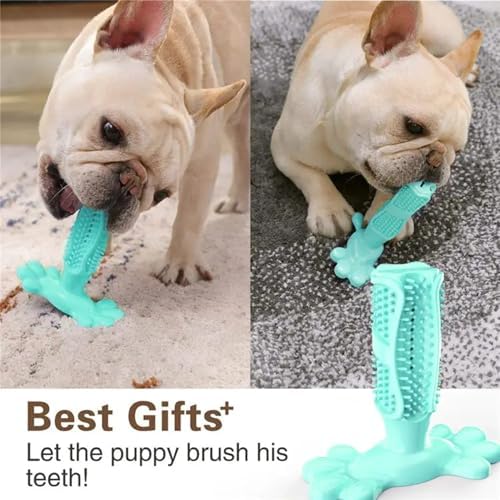 Chew Toy for Dog Toothbrush Stick Dog Toys for Aggressive Chewers Interactive Toys Treats Tough Toy to Keep Them Busy Chew for Small Dogs (Blue, M)