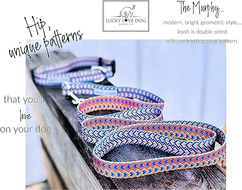 Lucky Love Dog Martingale Collar & Leash Set No Slip Cute – Murphy, Small