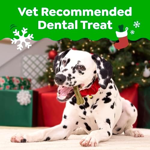 Greenies Regular Natural Dental Dog Treats, Gingerbread Flavor, 6 Count
