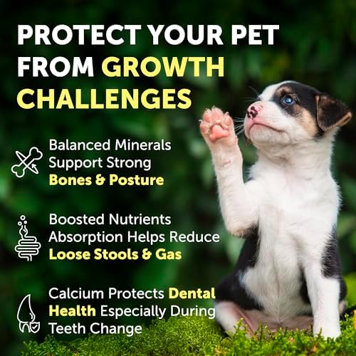 Nature's Protection Bones & Teeth Supplement Powder for Puppies, 9oz