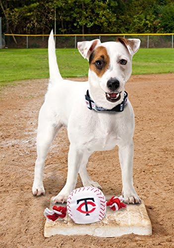Pets First MLB Minnesota Twins Baseball Rope Toy for Dogs & Cats. Tough Nylon, Sporty Baseball Design, Heavy-Duty Ropes with Inner Squeaker
