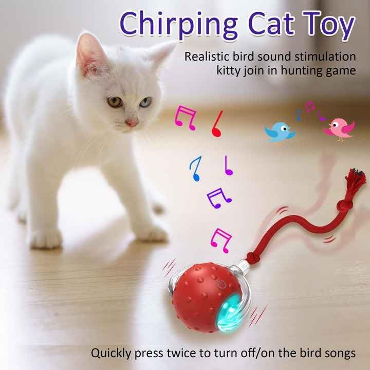PetScope Interactive pet Toy for Indoor use with Motion Activated, Rechargeable, LED,Bird Sound Effects- Red