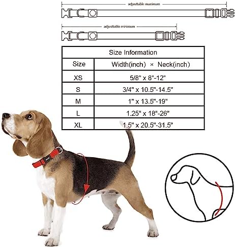 Dog Collar for Medium Dogs (Width- 3/4", Length - 17"-21.5") | Adjustable Padded Amethyst Dog Collar with Heavy Duty D-Ring | Soft Comfortable Fit for Medium Dogs | (Amethyst, Medium)