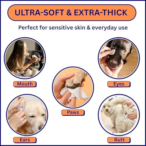 Aurora Pet Wipes – 100% Natural, Plant-Based Hypoallergenic Grooming Wipes for Dogs & Cats – Extra-Durable, Large & Thick for Effortless Cleaning (Combo, 200 Count)