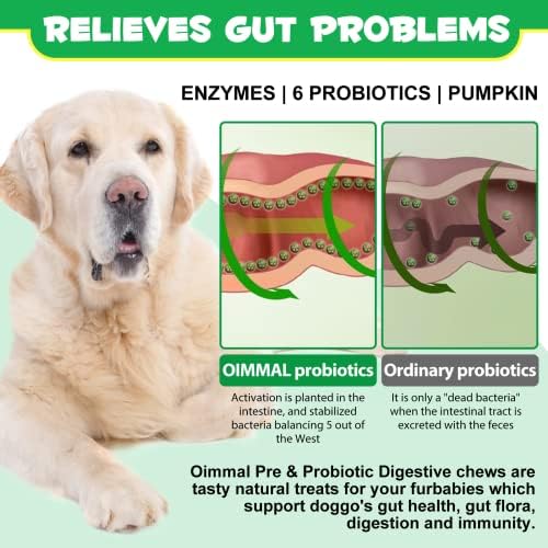 Probiotics for Dogs Digestive Health, Digestive Soft Chews for Dogs, Dog Probiotics and Digestive Enzymes, 120 Dog Chews Omega-3 & 6, Vitamin, Improve Digestion, Immunity