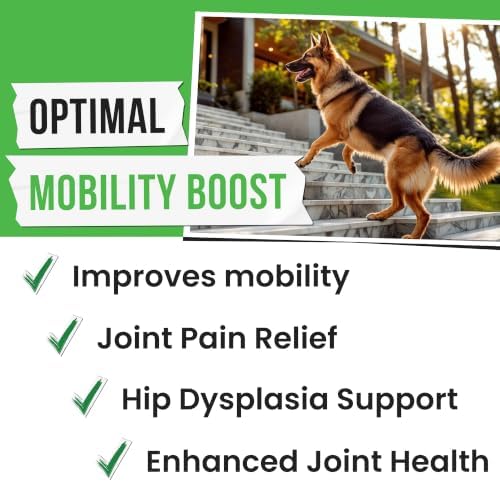 Hemp Treats - Dog Joint Supplement - Mobility Support Chews w/Glucosamine Chondroitin, Turmeric, MSM - Hip & Joint Chews - Joint Pain Relief Treats - 120Ct