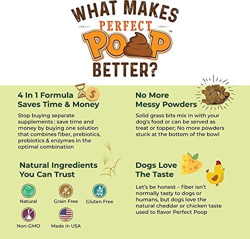 Bernie's Perfect Poop 4-in-1 Dog Digestion Supplement, Cheese, 4.2 oz