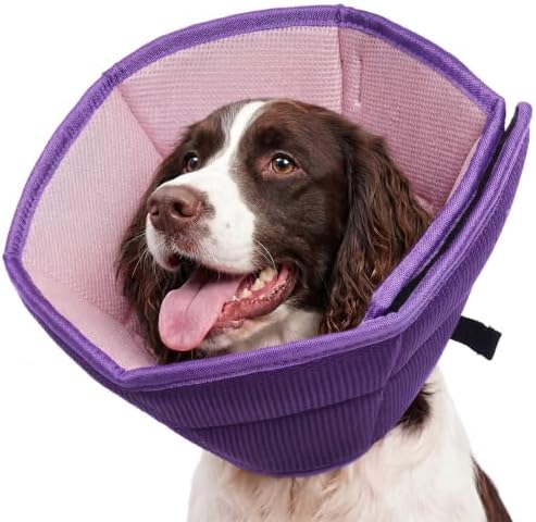 Allroaring Adjustable Dog Cone for Spay, Comfy Recovery Collar Purple L