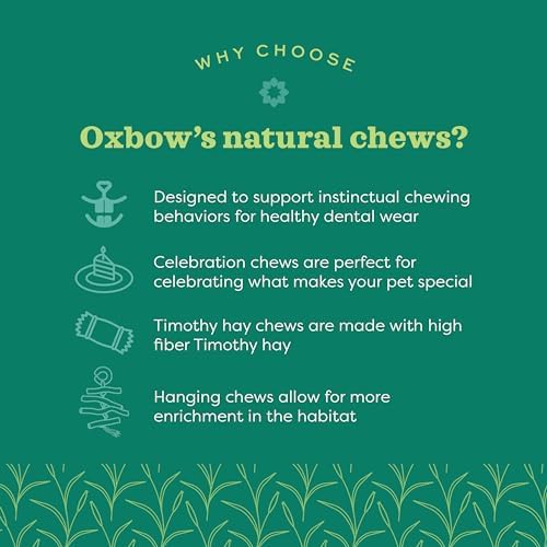 Oxbow Enriched Life Timbells, Rabbit Toys, Guinea Pig Toys, Enrichment for Bunny, Guinea Pig, Hamster, Rabbit, Chinchilla, Timothy Hay, Chinchilla Cage Accessories, Small Pet Accessories for Cage