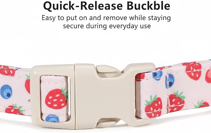 Girl Dog Collar, Cute Dog Collar for Medium Dogs with Cute Strawberry, Cherry and Blueberry Print, Pink Collar for Dogs with Quick-Release Buckle and Robust D Ring, M