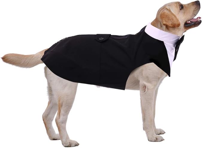 PUMYPOREITY Medium Dog Bowtie Tuxedo Suit, Wedding Outfit for Cats and Dogs, Bandana Set for Chihuahua, Boston Terrier, Bichon, Corgi, Pomeranian, 2 Pieces/Pack, M, Black