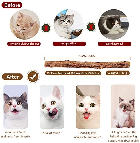 Natural Wood Cat Teaser Wand Toy, 3pcs 16 Inch, Catnip Sticks for Teeth Cleaning, Indoor Cat Exerciser