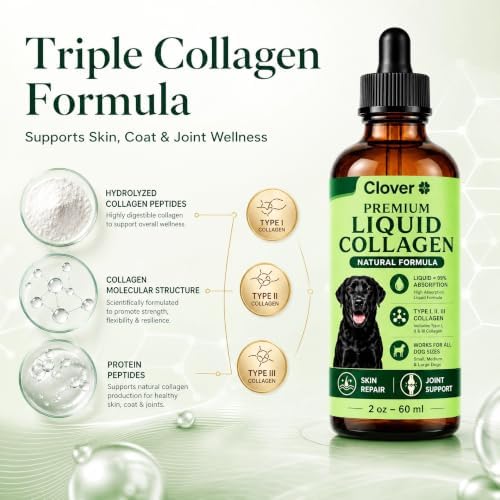 Clover Dogs Liquid Collagen for Dogs, Daily Joint Mobility, Skin & Coat Support Supplement Drops, Easy Liquid Formula for Dogs
