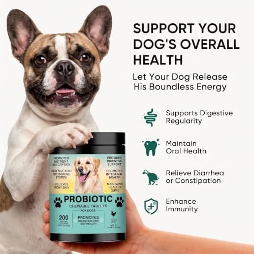 Probiotic Chews for Dogs, Digestive Enzymes & Prebiotics, Relieve Diarrhea, Constipation, Itching & Bad Breath, Support Gut Health & Immunity, Chicken Flavor (200 Ct)