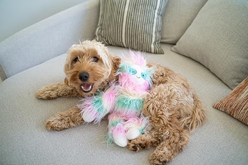 Flourish Pets 3 in 1 Multi-Layer Chew Toy for Active Dogs | Non-Toxic BPA Free Double Stitched Soft Fabric Exterior Dog Toys | Long-Lasting Dog Plush Toys – Sloth Large 5"