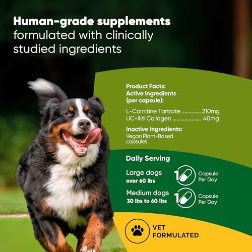 Joint & Muscle Health Supplement, Medium & Large Dogs, 30 Caps