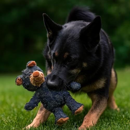 Robust Bear Dog Toy with Squeaker, Textured Chew Toy for Teeth Cleaning and Healthy Chewing Habits (Blue)