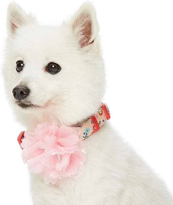 Blueberry Pet Floral Power Cosmos Designer Orange Adjustable Dog Collar with Detachable Pink Peony, Large, Neck 18"-26"