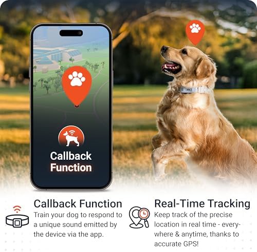 4G Dog GPS Tracker with Real-Time Location, Runaway Alerts, Activity Monitoring App, Waterproof Design & Rechargeable LED Dog Collar with 7 Color Modes, 27-Month Subscription Included – Grey Bundle