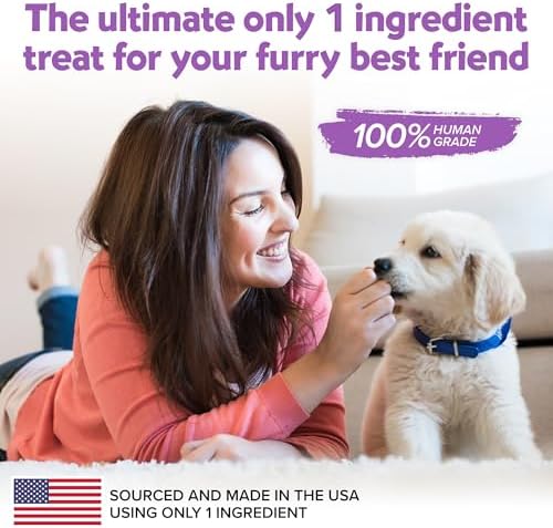 Barkin Strips Chicken Jerky Dog Treats, 100% Chicken Strips for Dogs, Single Ingredient, Grain Free, High Protein, Easy to Digest, Made in USA, Healthy Training Treats, 12 oz