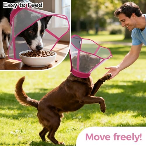Recovery Collar for Dogs – Adjustable Pet Cone for After Surgery