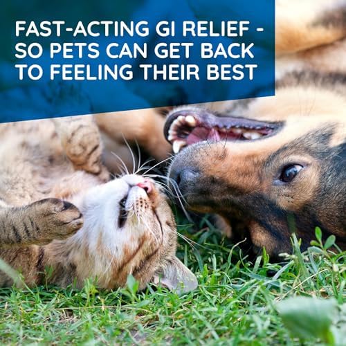 MediNatura T-Relief Pet Digestive Support Oral Drops, 1.69 oz