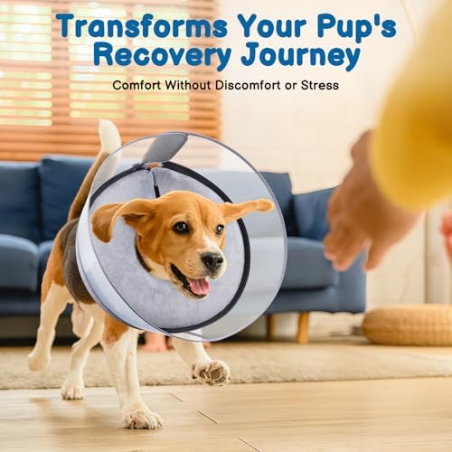 BARKLESS 2-in-1 Inflatable Dog Donut Collar for Large Dogs After Surgery