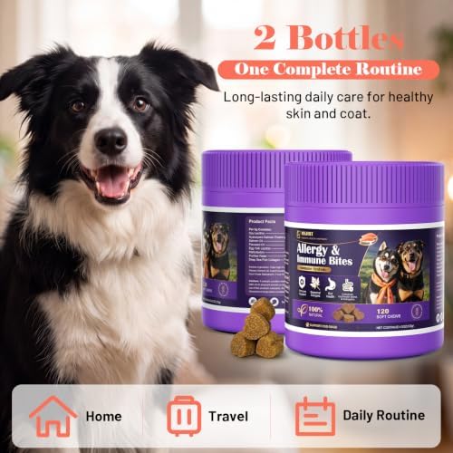Dog Allergy Chews for Dogs - Skin & Coat, Digestive Health & Immune Support, Salmon Flavor, 2 Bottles, 240 Soft Chews