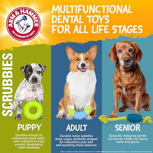 Arm & Hammer Scrubbies Boomerang Dental Chew Toy, Puppy, Large, 7 in