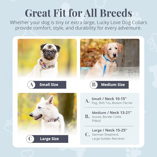 Lucky Love Dog Martingale Collar & Leash Set No Slip Cute – Linus, Large