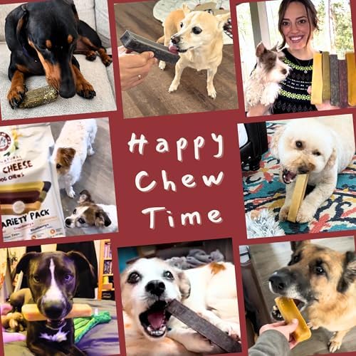 Majestic Pet Himalayan All-Natural Yak Style Cheese Dog Chews Made w/ 100% Cows Milk- Long Lasting Dental Chew for Dogs - Healthy Pet Treats w/Beneficial Ingredients (Berry Fresh, Large, 5 Pack)