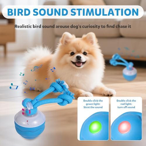 Interactive Dog Toys, Dog Toys to Keep Them Busy with Squeaky, Active Moving Dog Ball for Puppy and Medium Dogs, Durable Power Tail 2.0 Dog Toy，USB Rechargeable