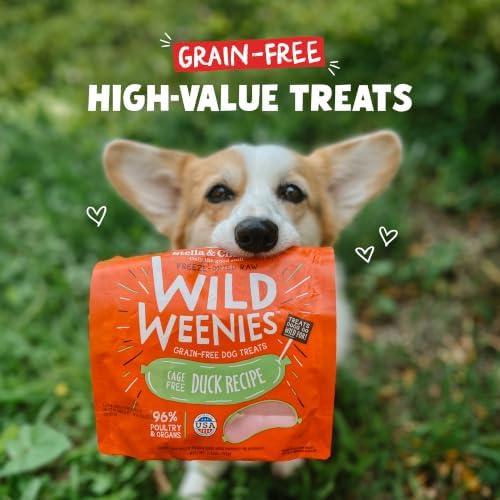 Stella & Chewy's Freeze-Dried Raw Wild Weenies Dog Treats - High-Protein Training Treats for Dogs & Puppies - All-Natural Cage-Free Duck Recipe with 97% Poultry & Organs - USA Made - 3.25 oz Bag