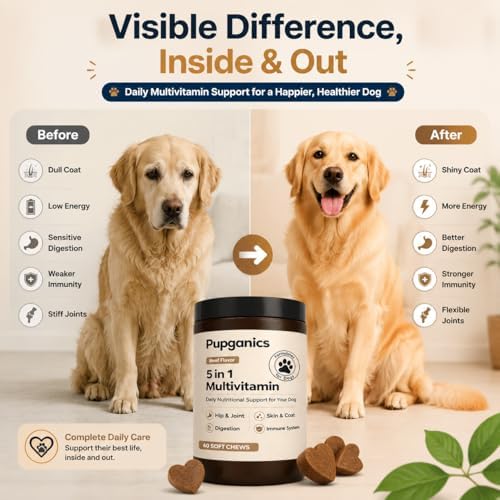 Pupganics Multivitamin Daily Soft Chews for Dogs,Pupganics 5 in 1 Multivitamin,with Chondroitin & Natural Vitamins,for Hip & Joint, Heart Health, Skin & Coat, Digestion & Immune Support, 60 Chews.