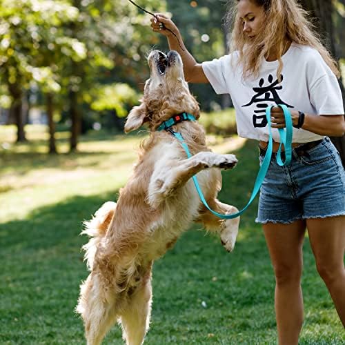 Reflective Dog Collar, Quick-Release Buckle (Light Blue, 18-26 Inch)