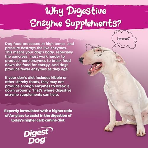 Vital Planet - Digest Dog Digestive Pancreatic Enzyme Blend with Pumpkin and Fennel to Support the Pancreas and Healthy Digestion with Pancreatin, Beef Flavored Powder for Dogs - 111 Grams 30 Scoops