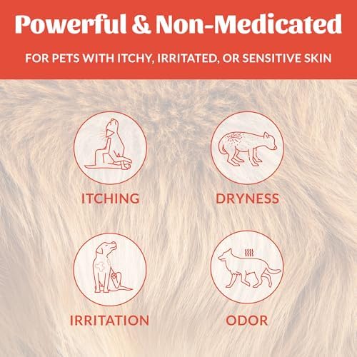 SKOUT'S HONOR Probiotic Itch Relief Shampoo for Dogs, 16 oz