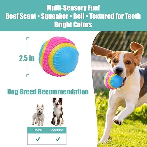 SPOT Sensory Ball for Soft Chewers - Stimulates All 5 Senses, Bell & Squeaker Sounds, Raised Nubs Clean Teeth, High Contrast Fetch Toy, Beef Scented, Durable TPR Rubber Ball, 2.5-inch