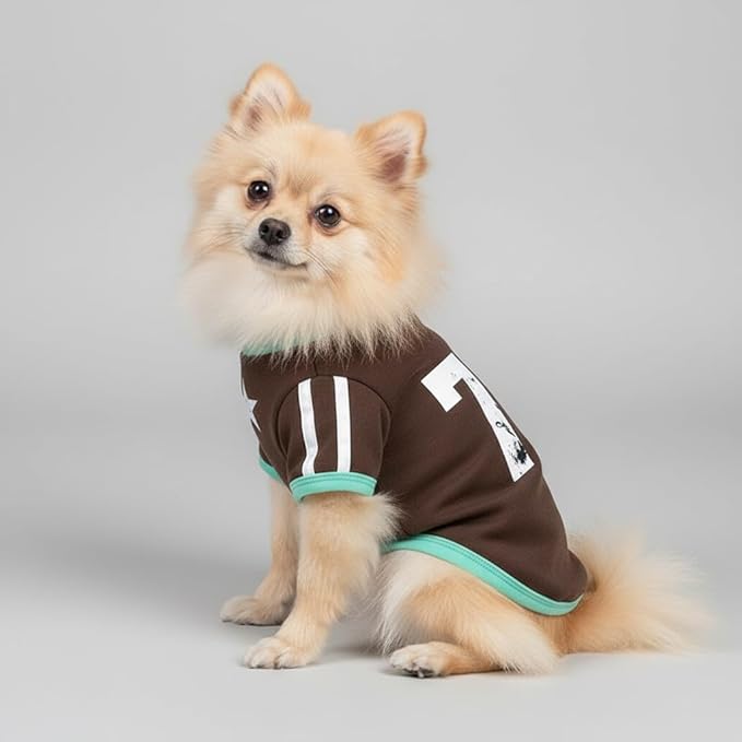 3-Pack Sweater for Small Dogs, Soft Sweatshirt for Boy & Girl Dog, Stretchy Pajamas & Sporty Jersey for Male & Female Puppy, Fall Outfit Costume for Cat, Winter Fleece Vest and Shirt, Size S
