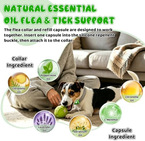 Natural Flea and Tick Collar Kit for Dogs, 1 Collar with Silicone Buckle and 4 Capsules, Water-Resistant Dog Flea & Tick Collar for Small Medium Large Dogs
