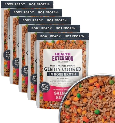 Health Extension Gently Cooked Grain-Free Salmon Dog Food, Human-Grade & Shelf-Stable with Superfoods, Supports Digestion, Immunity, Skin & Coat, 9 oz Pouch (Pack of 5)